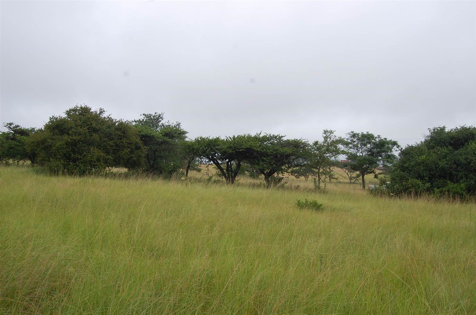1.6 ha Land available in Camperdown photo number 3