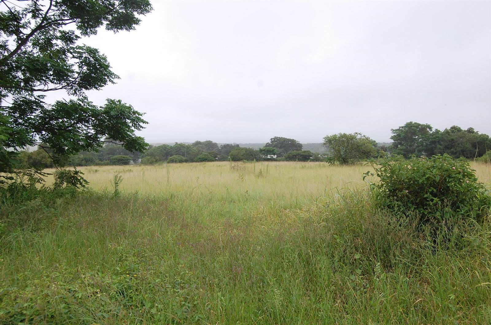 1.6 ha Land available in Camperdown photo number 2