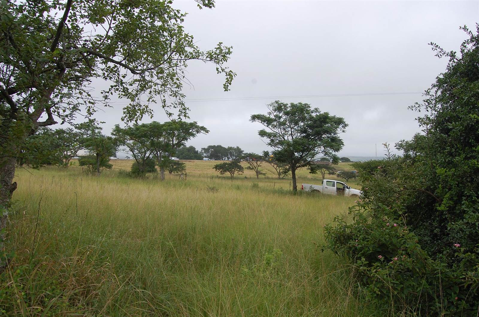 1.6 ha Land available in Camperdown photo number 1