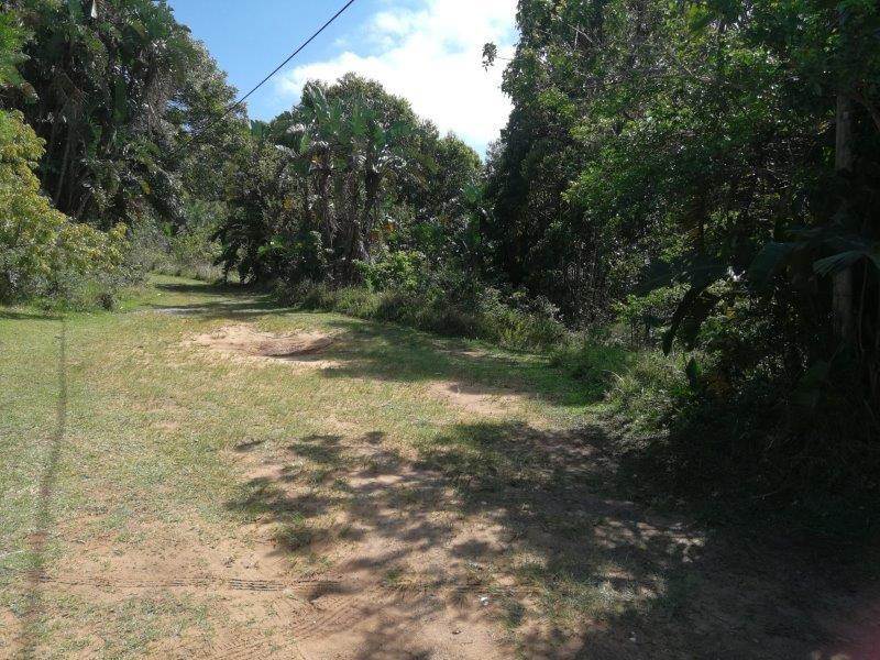 1128 m² Land available in Leisure Bay photo number 1