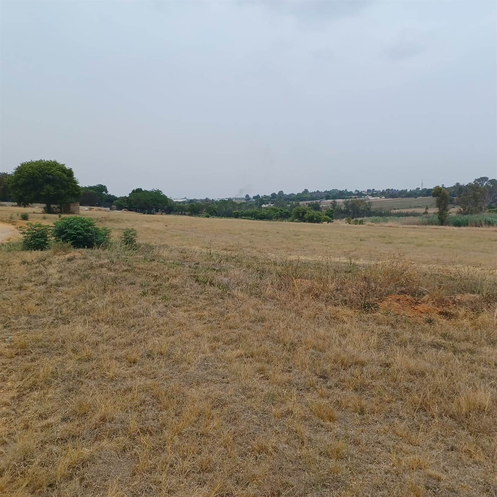 19.6 ha Farm in Rietfontein photo number 27