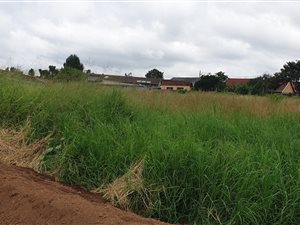 1351 m² Land available in Mountain Rise