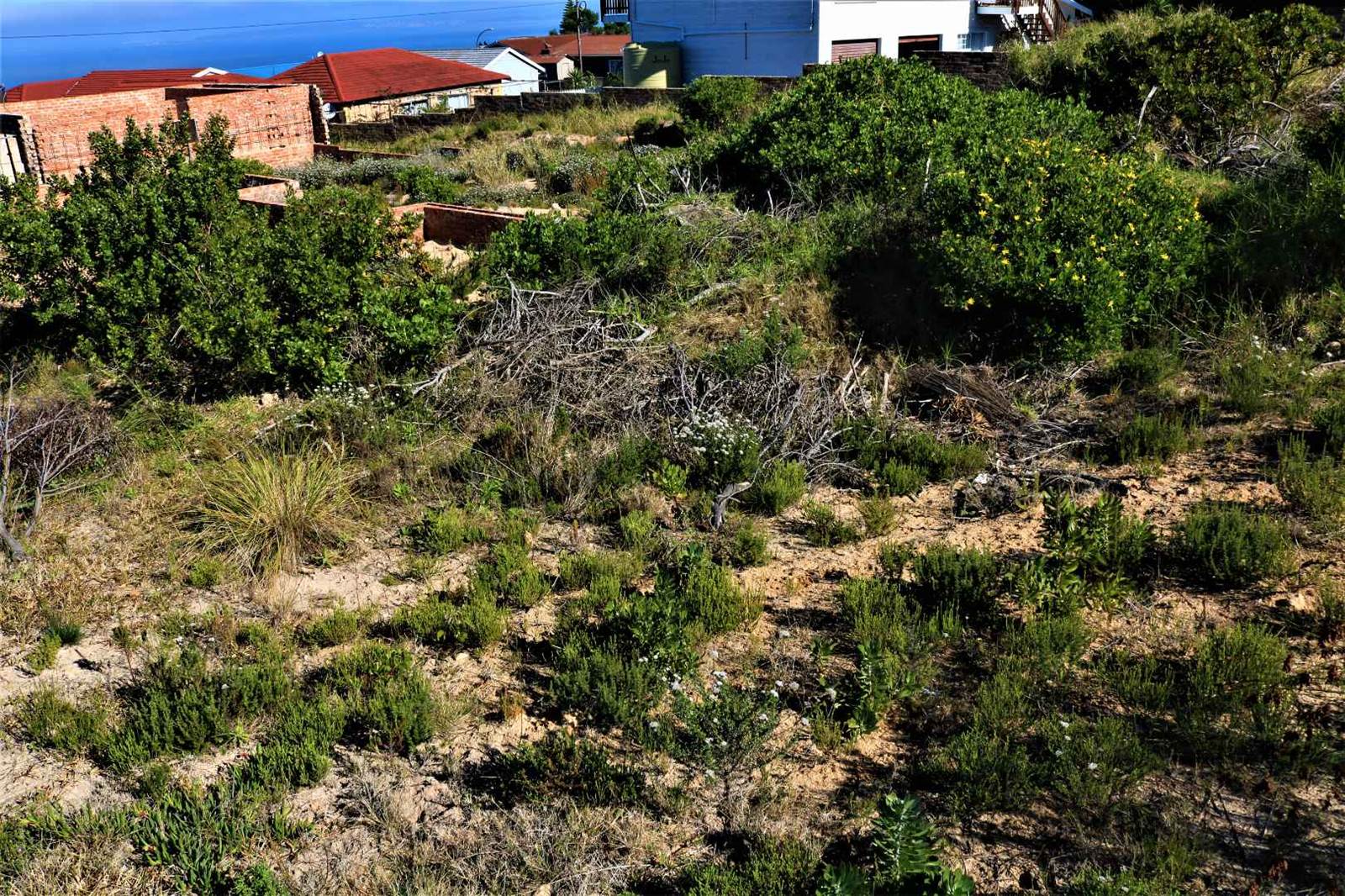 982 m² Land available in Dana Bay photo number 2