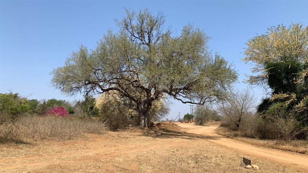 2400 m² Land available in Hoedspruit photo number 13