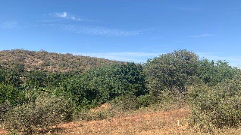 2400 m² Land available in Hoedspruit photo number 10