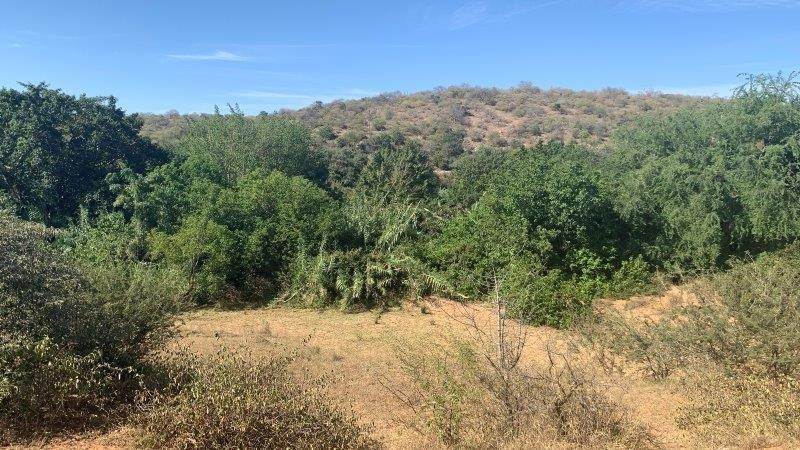 2400 m² Land available in Hoedspruit photo number 9