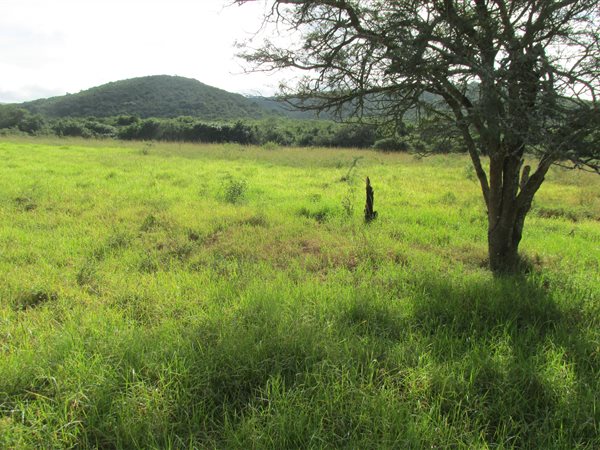 35 ha Farm 35 ha Farm