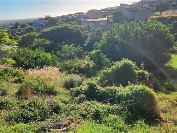 694 m² Land available in Dana Bay