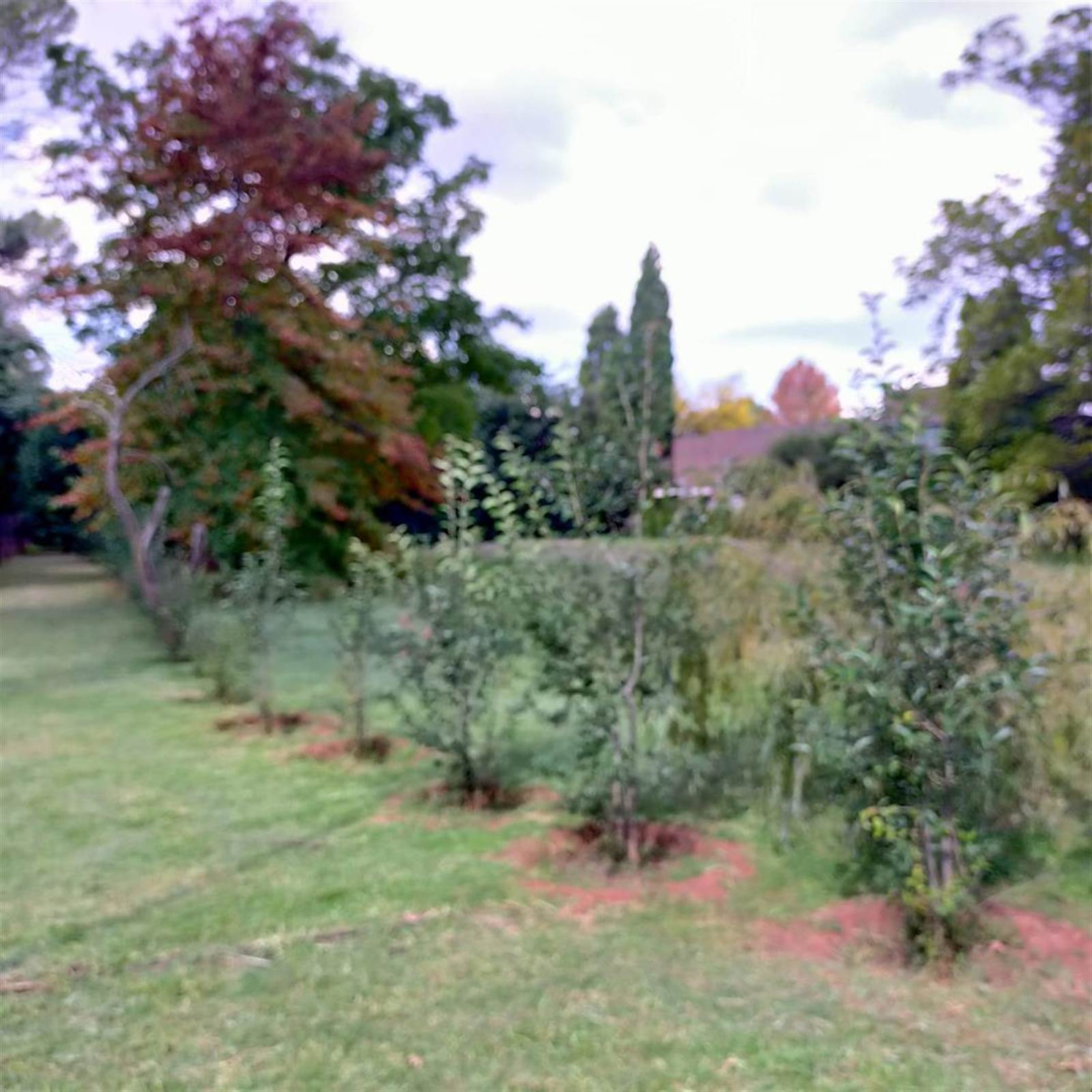 2032 m² Land available in Henley on Klip photo number 5
