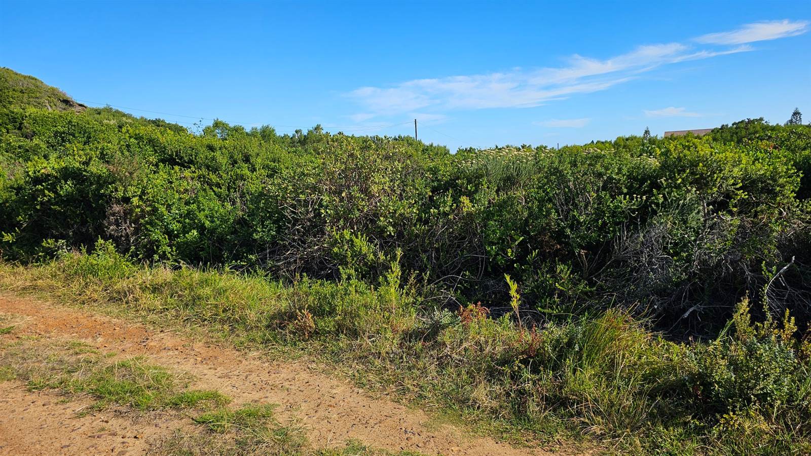 600 m² Land available in Oyster Bay photo number 4