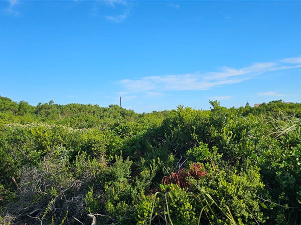 600 m² Land available in Oyster Bay