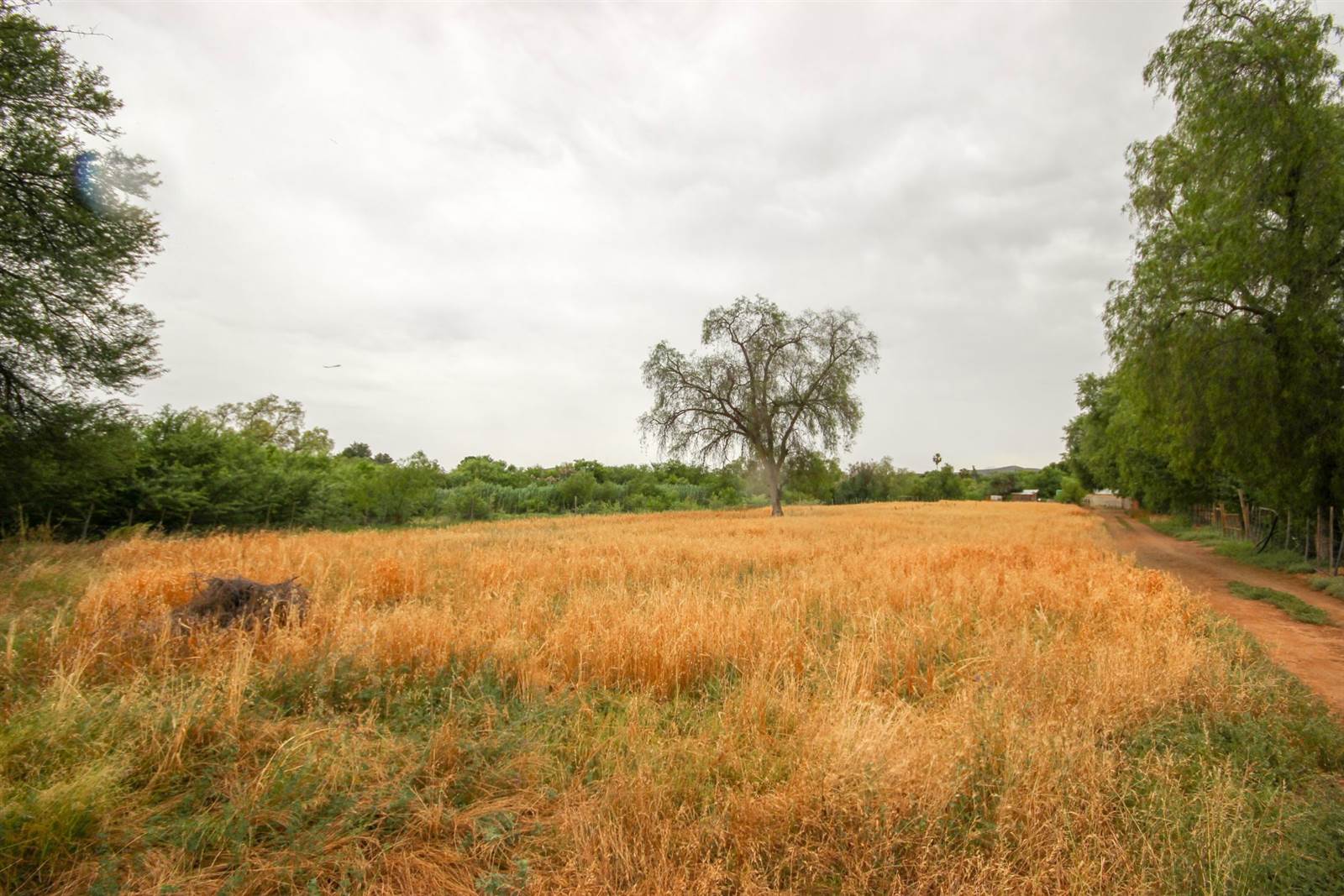 1.6 ha Land available in Wesbank photo number 1