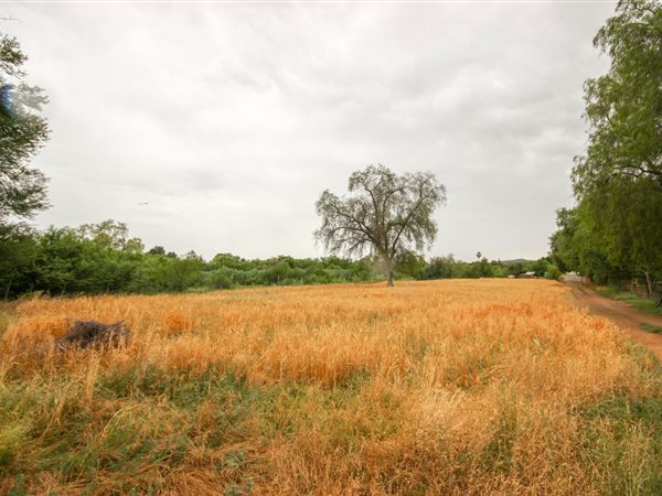 1.6 ha Land available in Wesbank