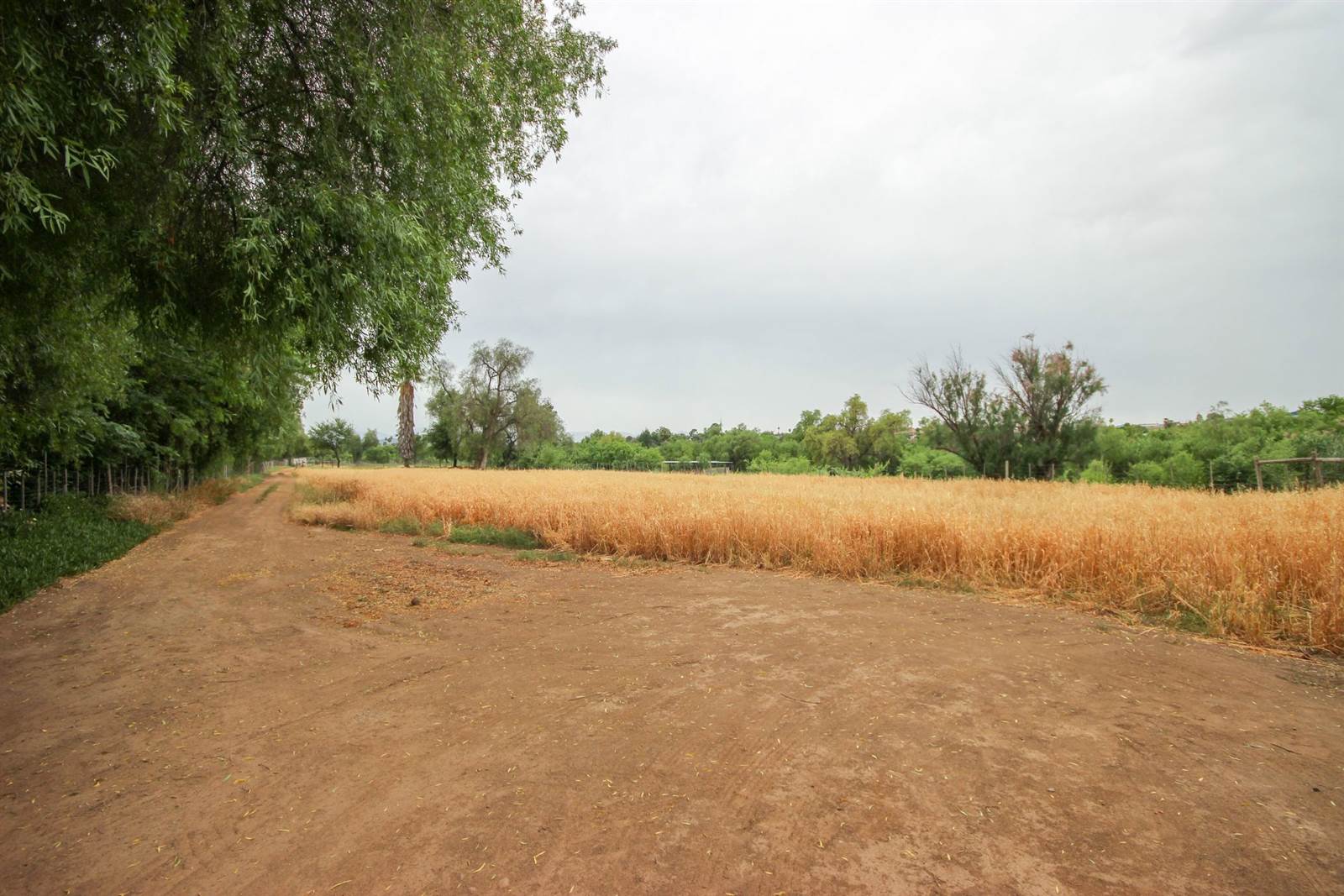 1.6 ha Land available in Wesbank photo number 2