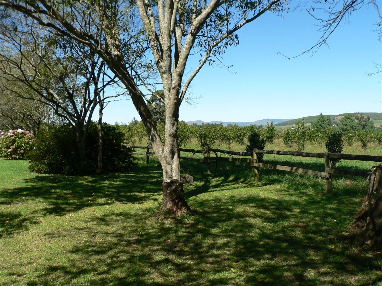 22.8 ha Smallholding in Howick photo number 9