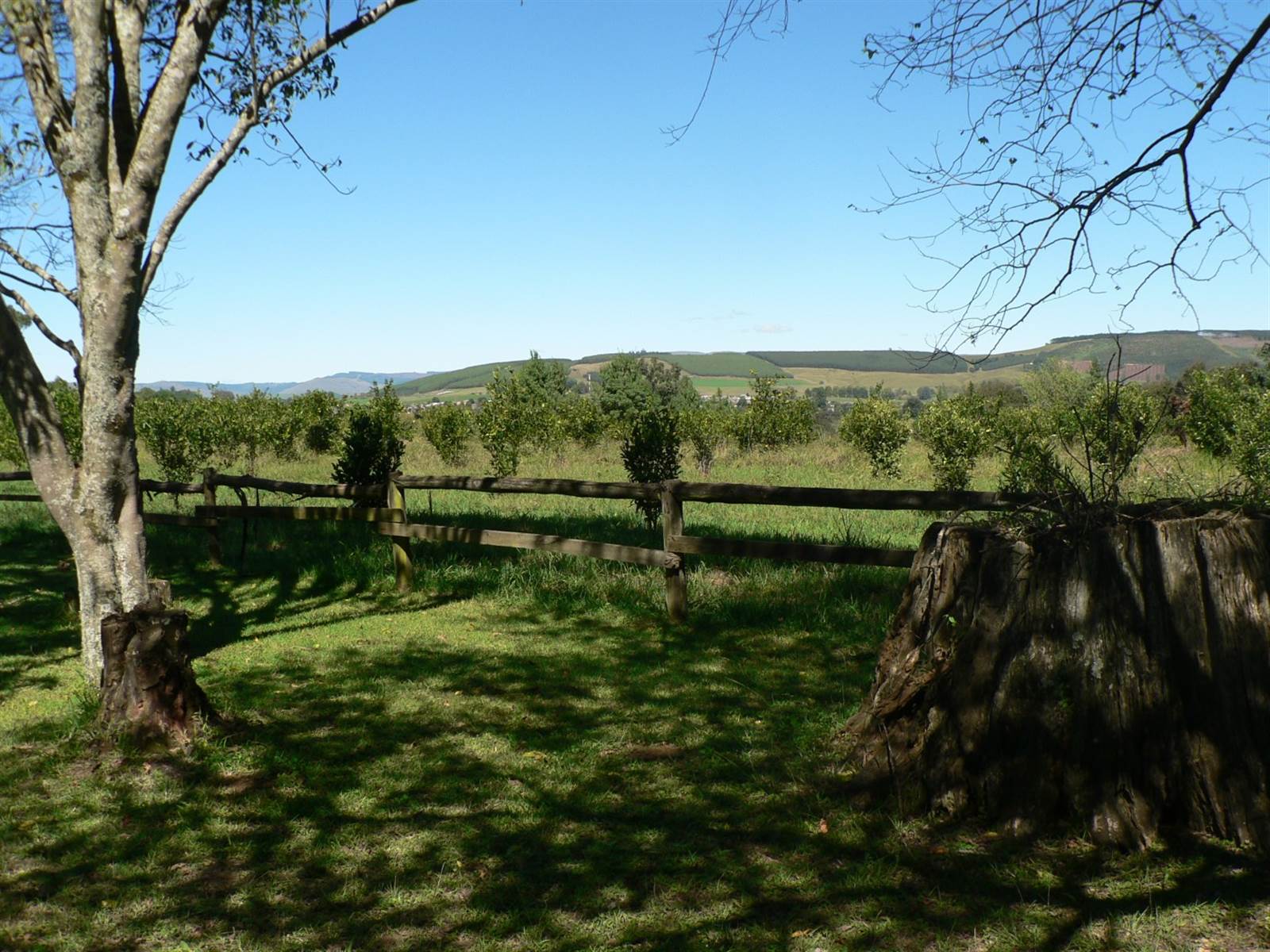 22.8 ha Smallholding in Howick photo number 7