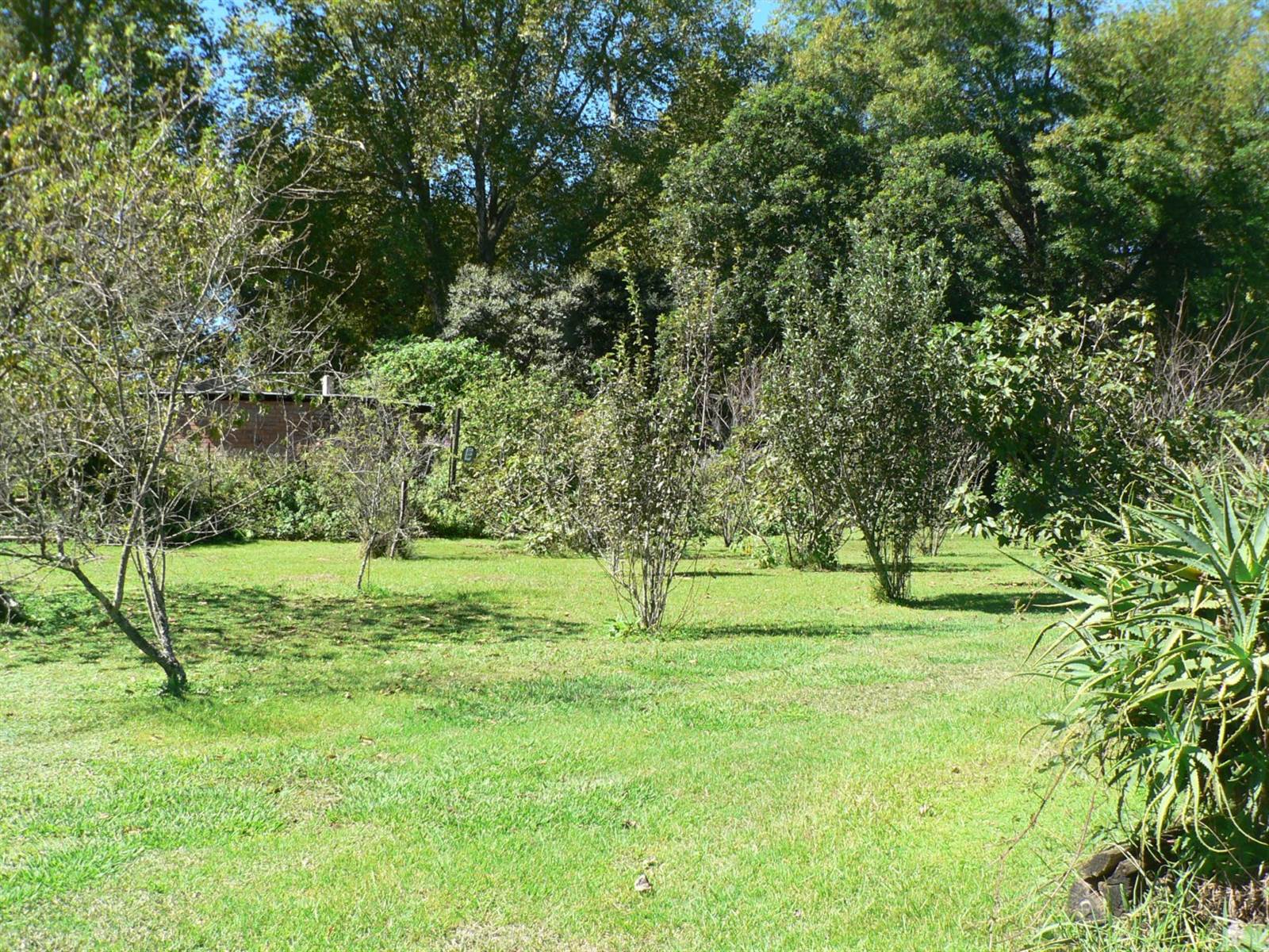 22.8 ha Smallholding in Howick photo number 15