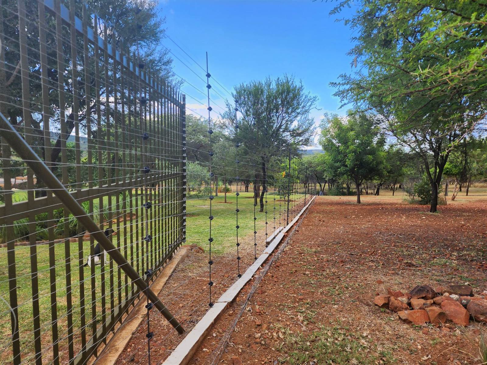 21 ha Smallholding in Polokwane Central photo number 5