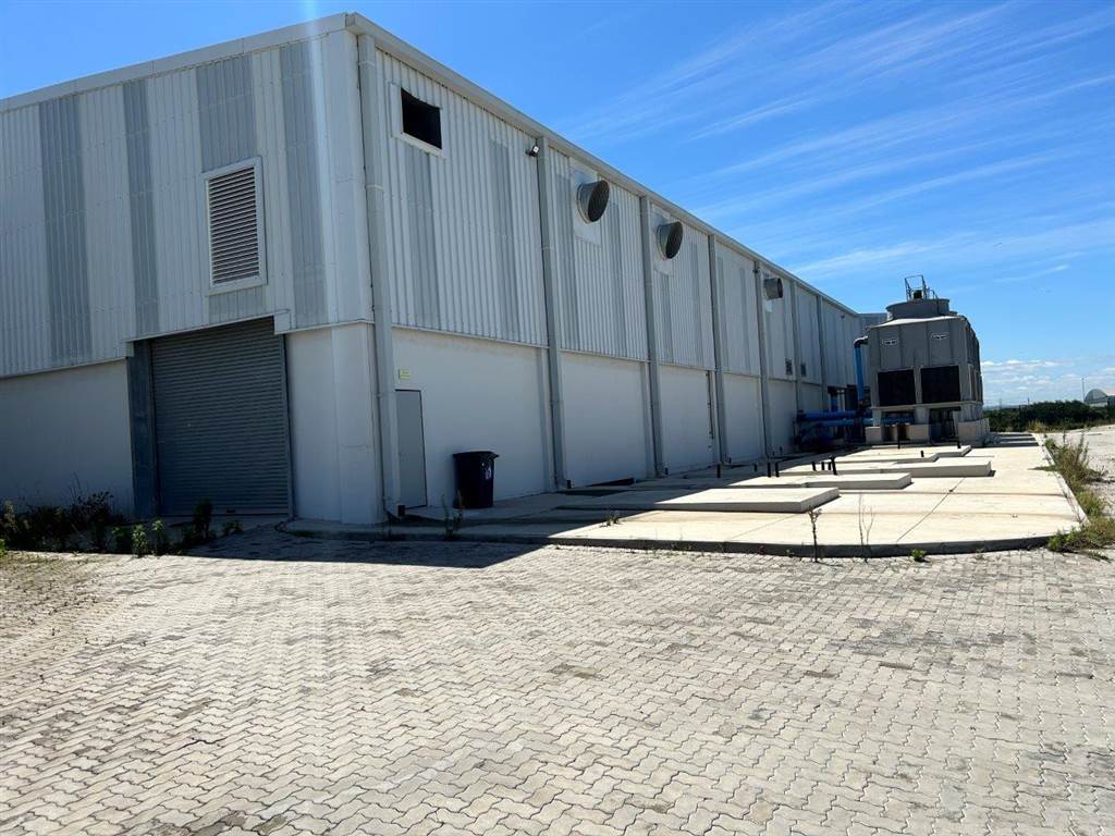 6000  m² Industrial space in Coega photo number 2