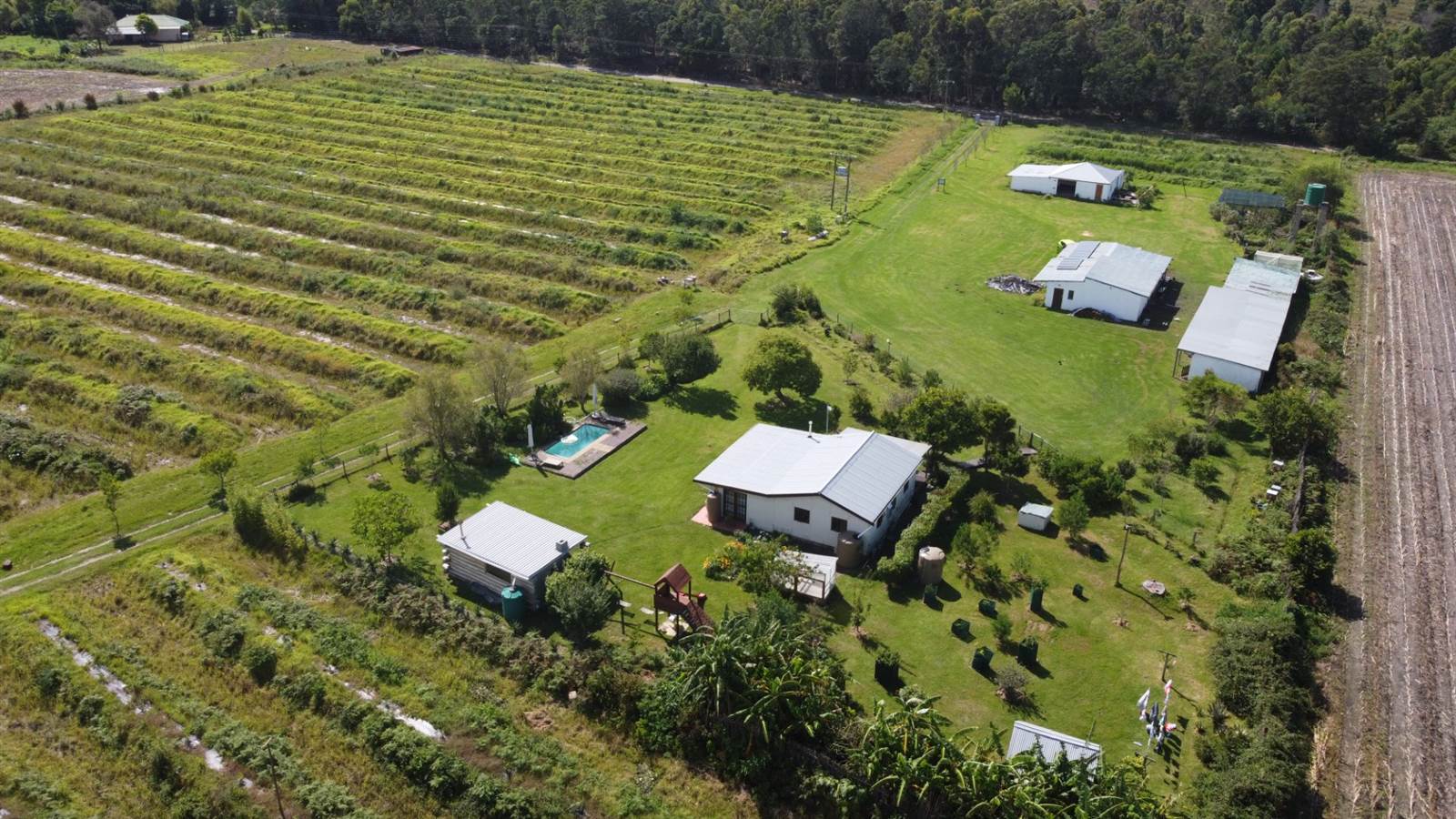 10.3 ha Smallholding in Humansdorp photo number 6