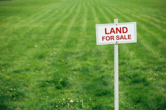 3709 m² Land available in Rosebank photo number 3