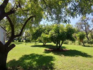 8.5 ha Farm in Bultfontein AH