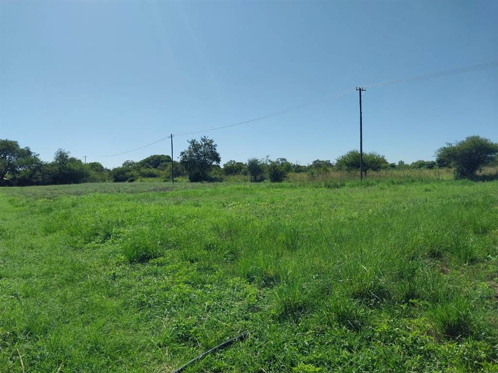 8.5 ha Farm in Bultfontein AH photo number 16