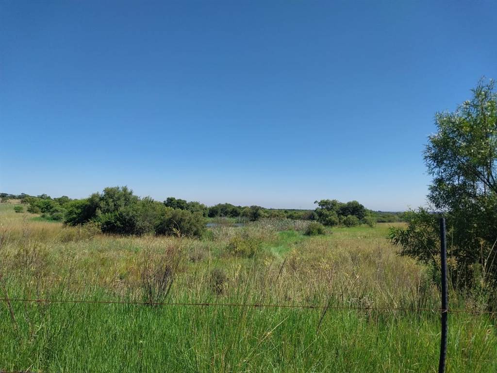 8.5 ha Farm in Bultfontein AH photo number 4
