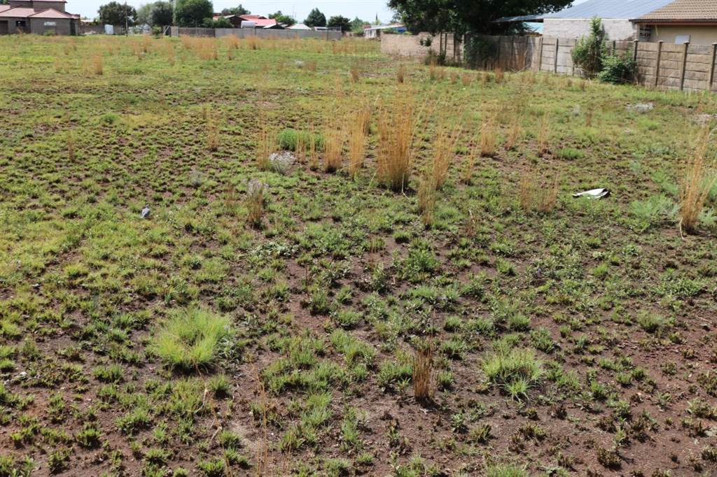 8600 m² Land available in Riversdale photo number 2