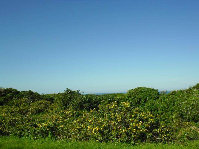 714 m² Land available in Boknesstrand photo number 1