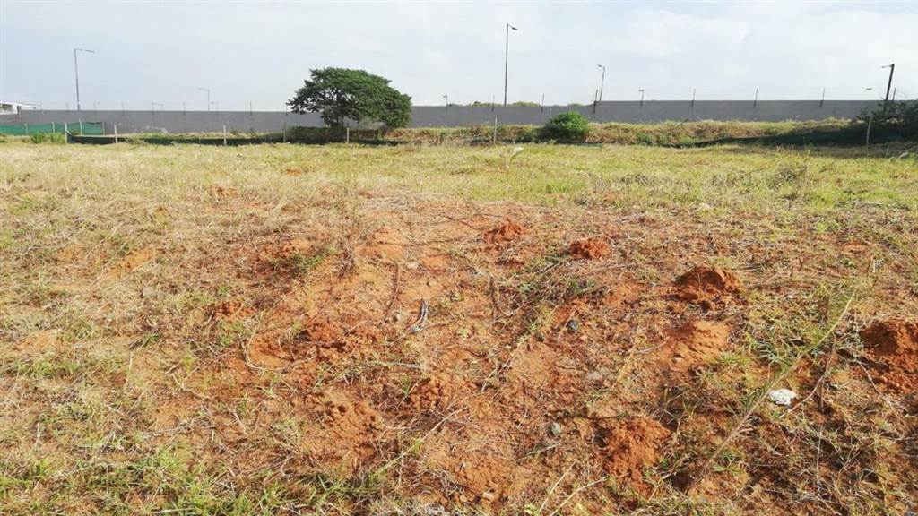 1011 m² Land available in Sibaya Precinct photo number 5