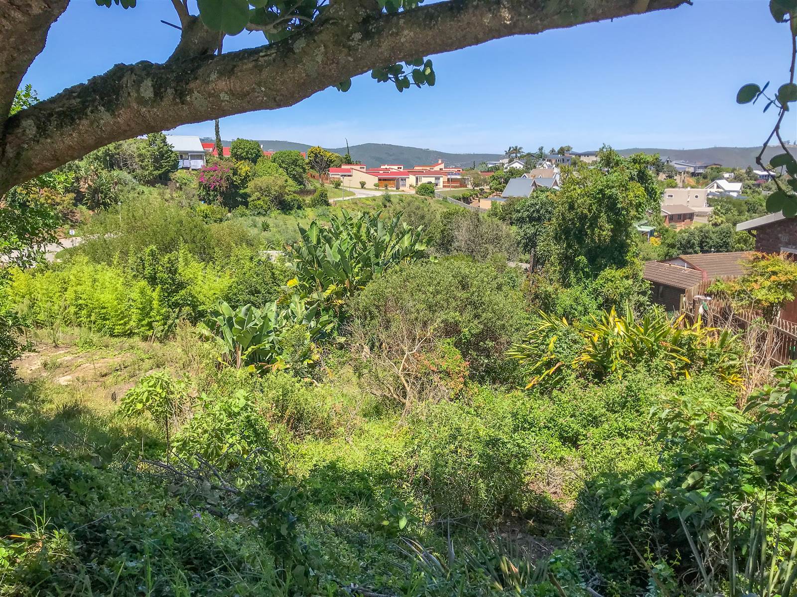 1388 m² Land available in Knysna Heights photo number 5