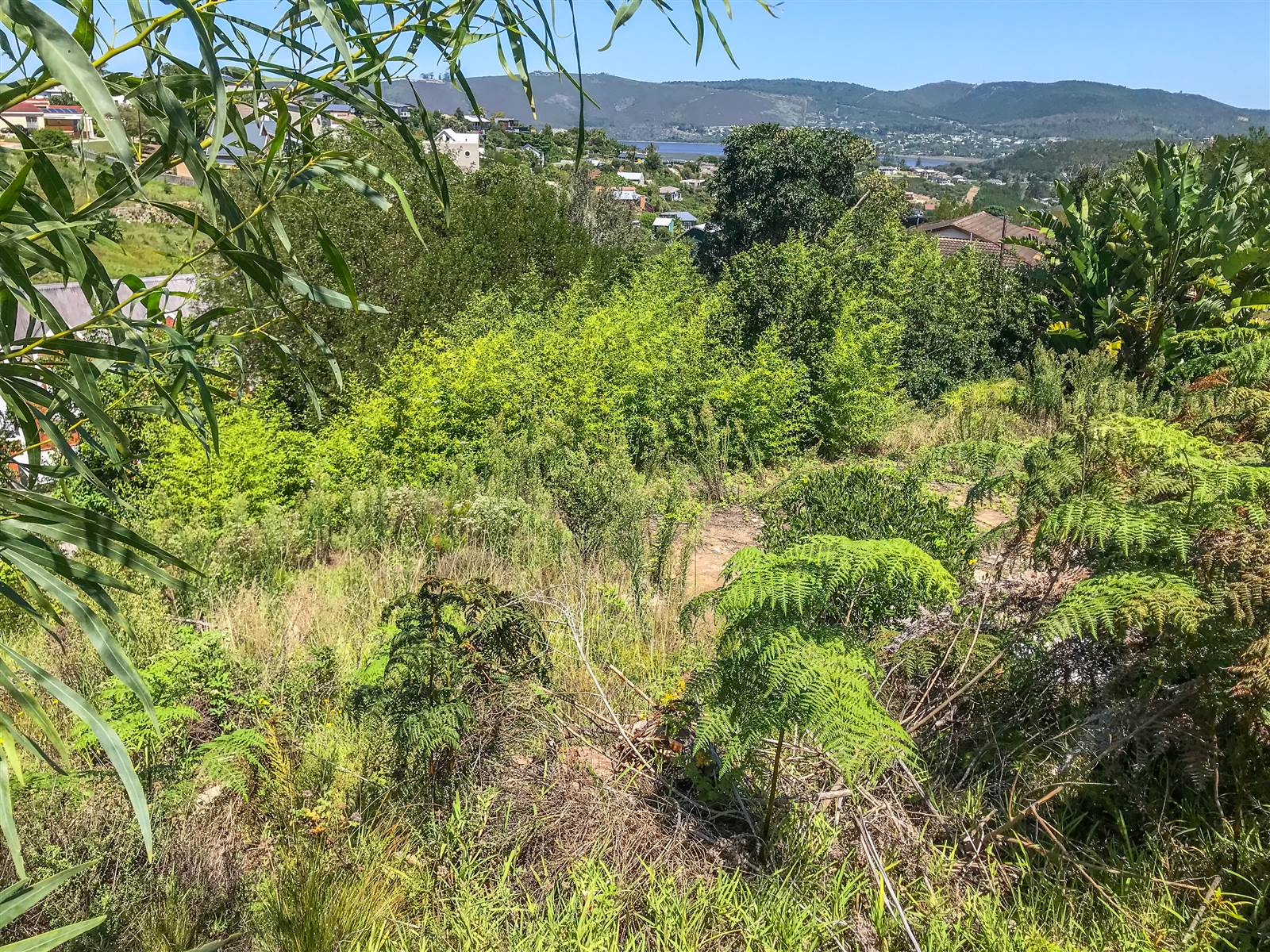 1388 m² Land available in Knysna Heights photo number 6