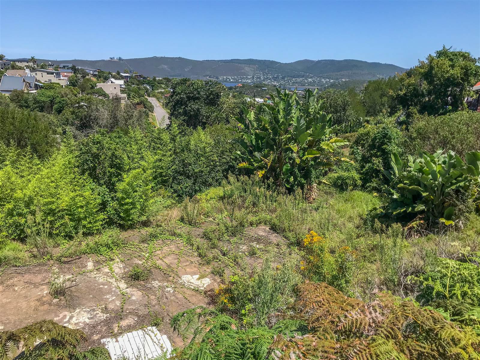 1388 m² Land available in Knysna Heights photo number 10