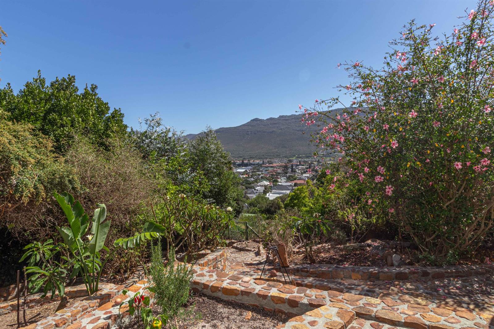 3 Bed House in Fish Hoek photo number 17