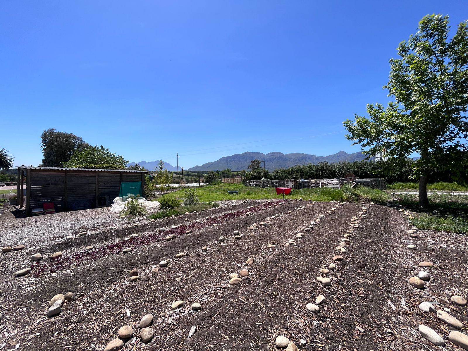 14900  m² Commercial space in Stellenbosch Agricultural photo number 21