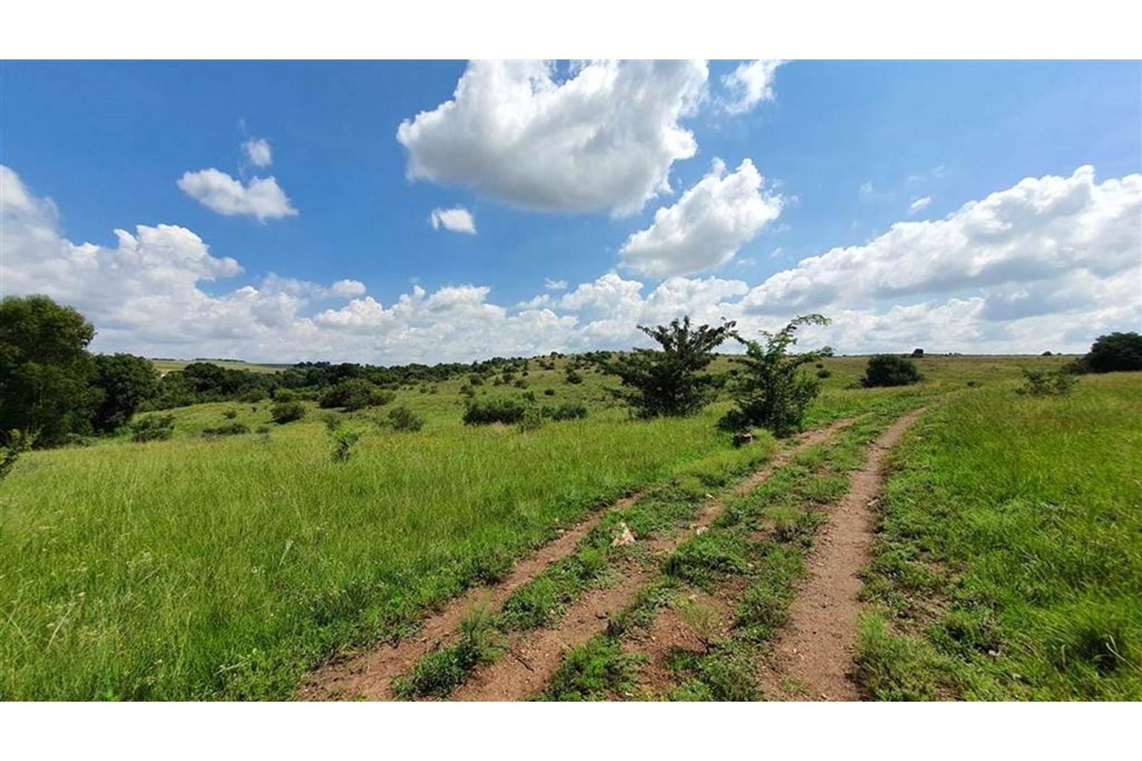 216.7 ha Farm in Sterkfontein and surrounds photo number 7