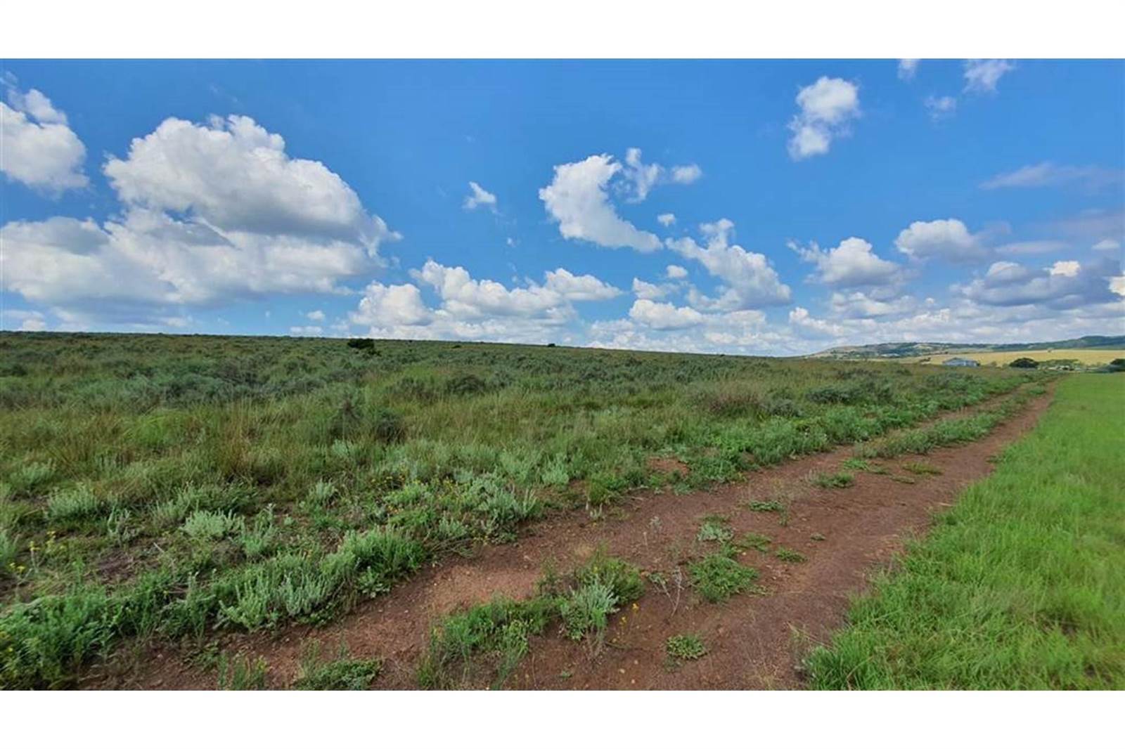 216.7 ha Farm in Sterkfontein and surrounds photo number 15
