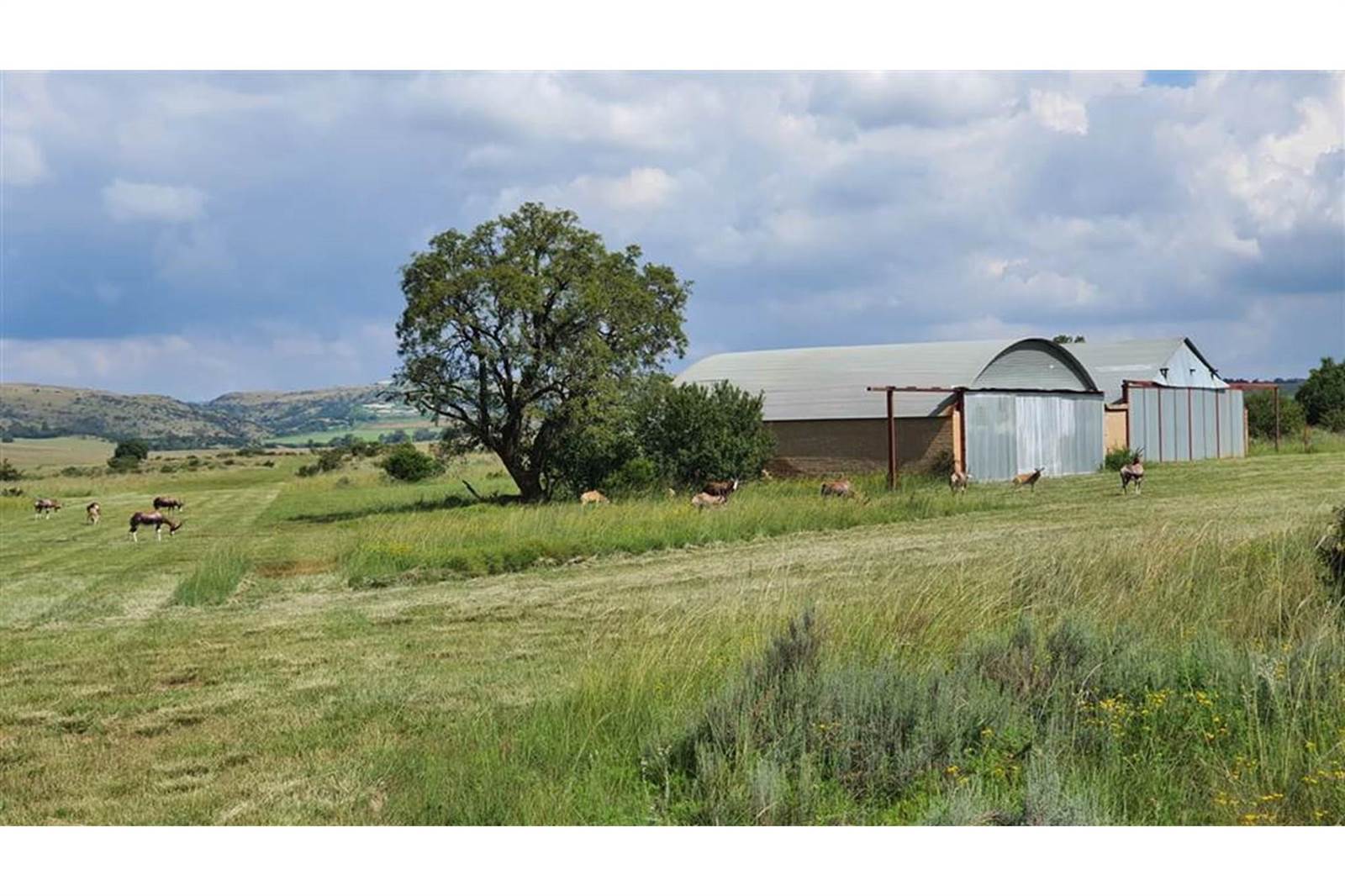216.7 ha Farm in Sterkfontein and surrounds photo number 17