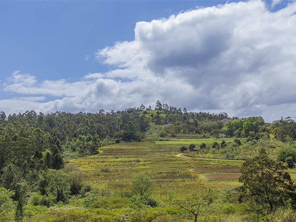 13.2 ha Farm