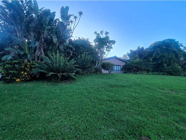 3 Bedroom House 3 Bedroom House