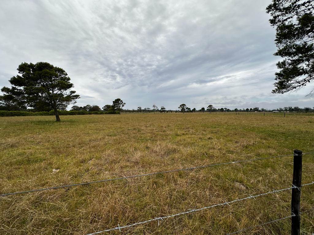 21 ha Land available in St Albans photo number 11