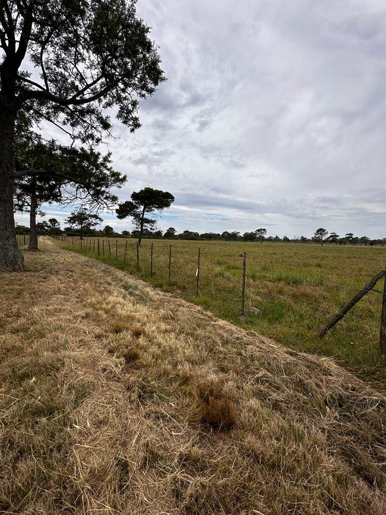21 ha Land available in St Albans photo number 22