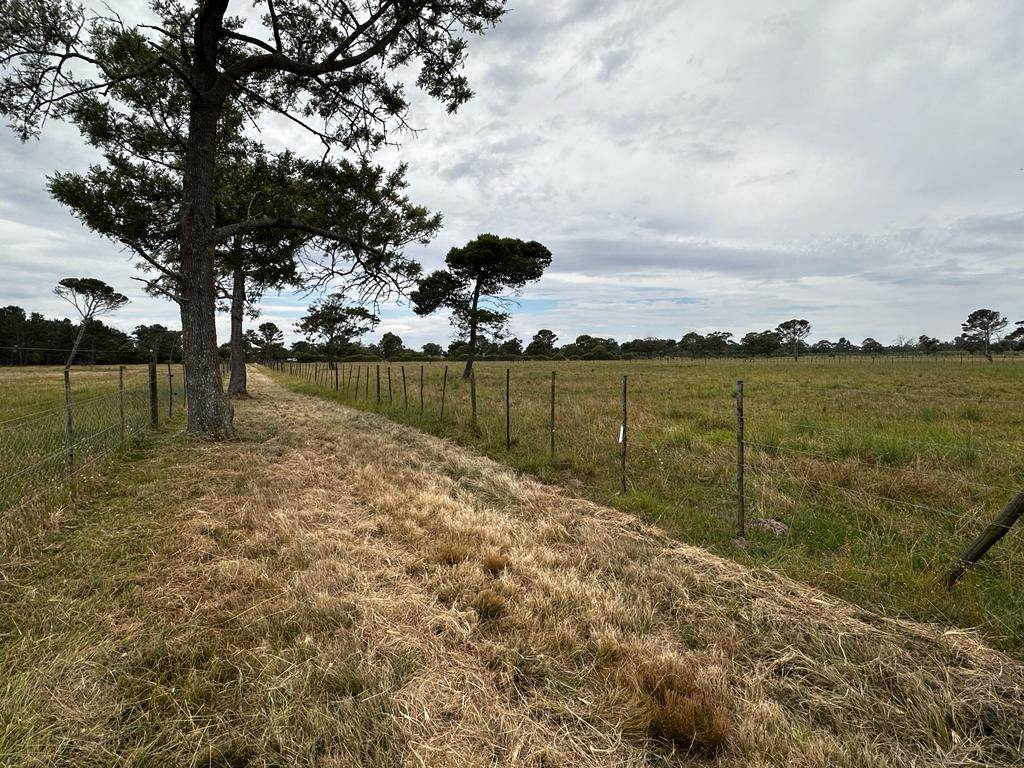 21 ha Land available in St Albans photo number 21