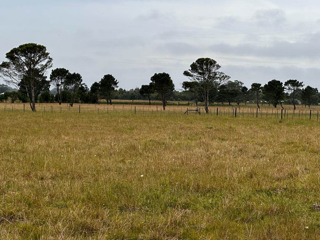 21 ha Land available in St Albans photo number 13