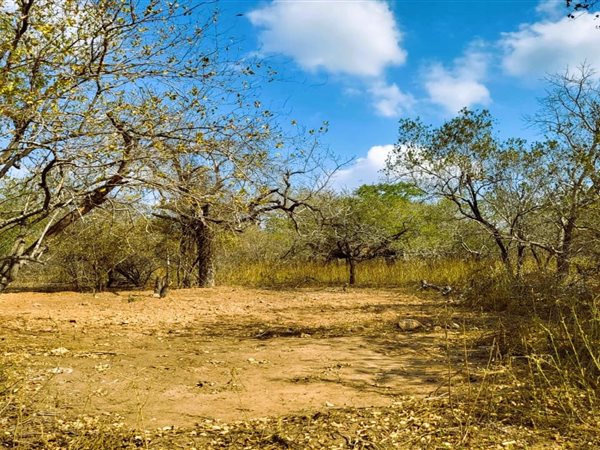 2270 m² Land available in Marloth Park