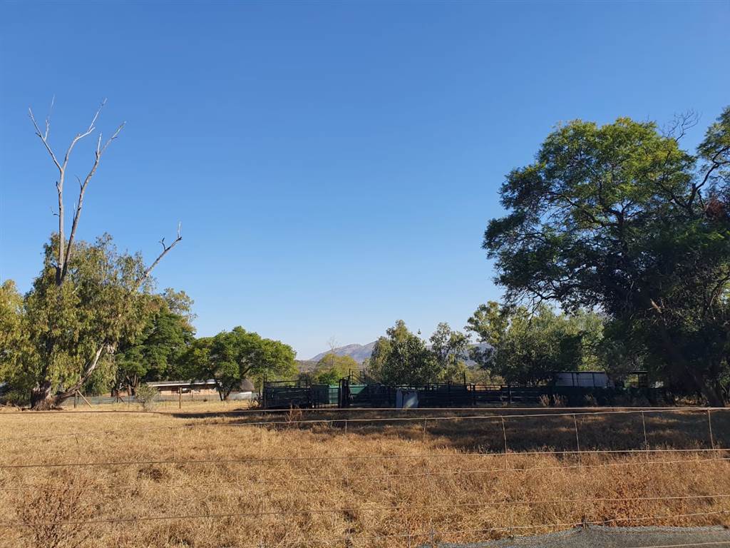 241 ha Farm in Mokopane photo number 27
