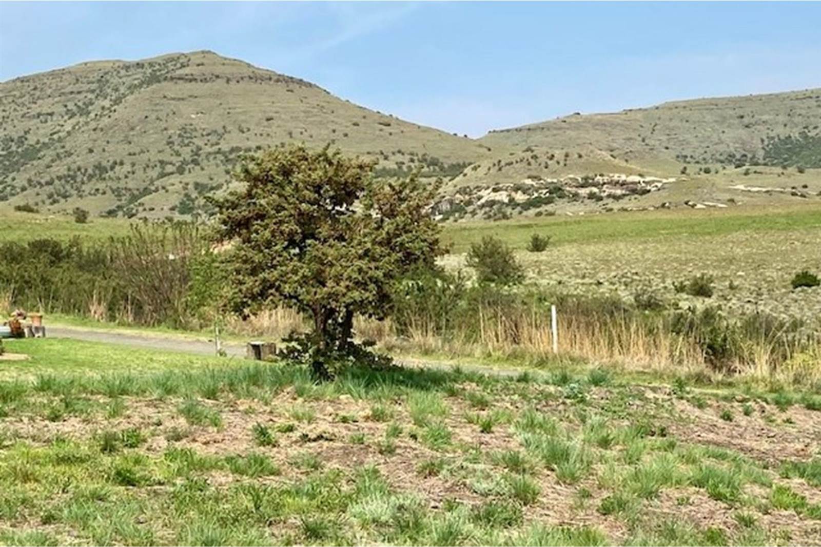 1590 m² Land available in Clarens photo number 7