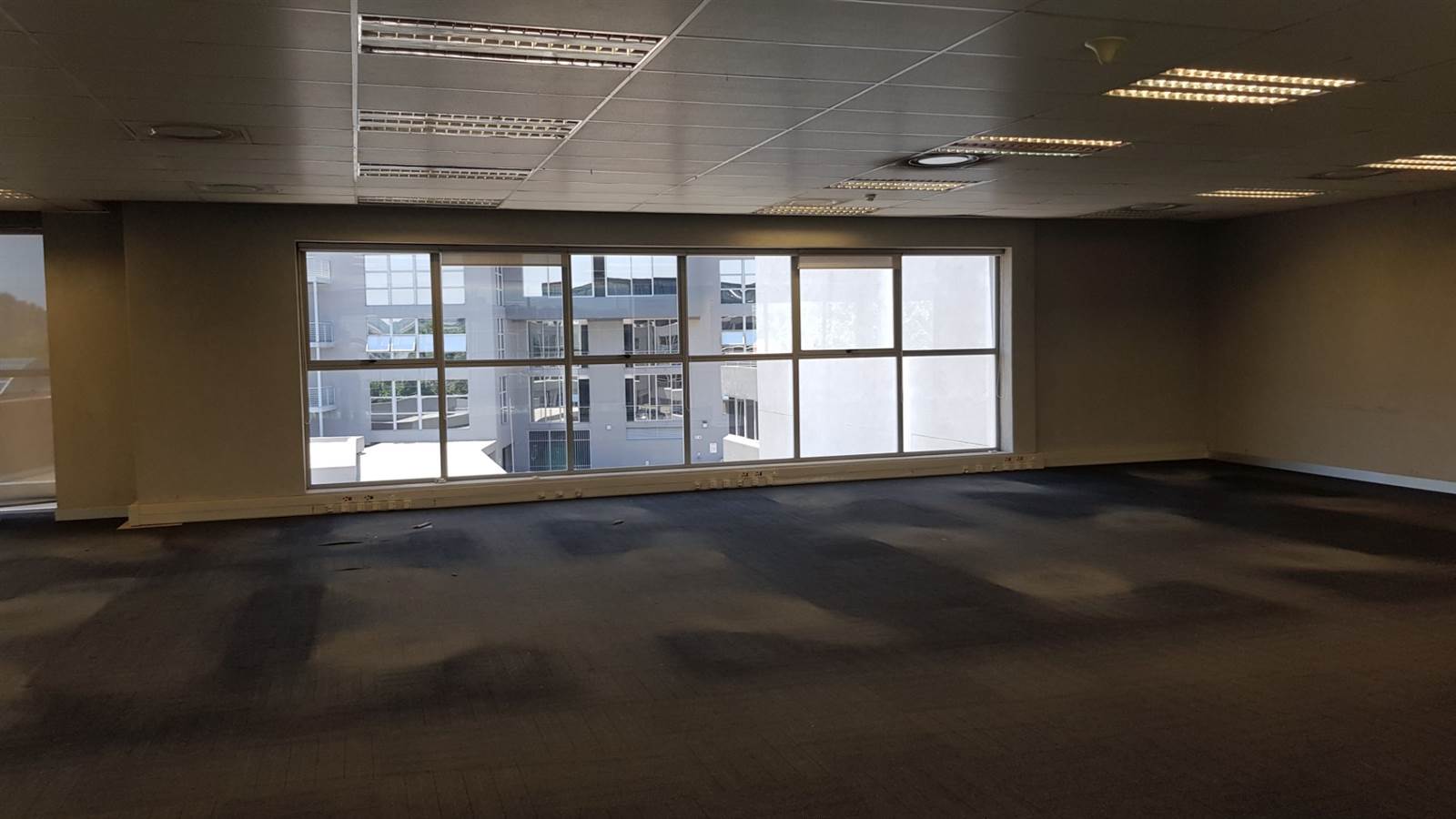 749  m² Office Space in Bedfordview photo number 12