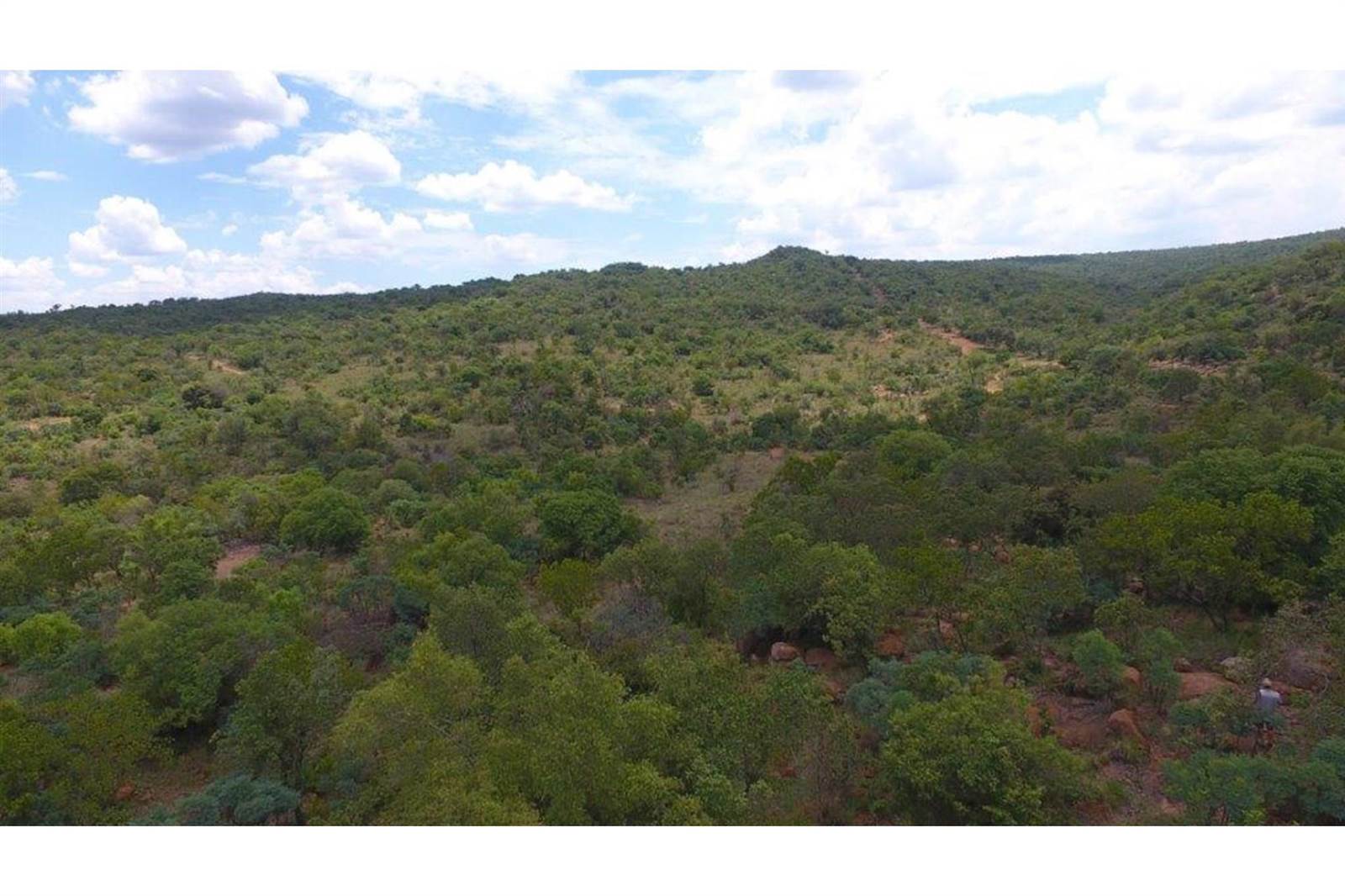 2500 m² Land available in Zwartkloof Private Game Reserve photo number 9